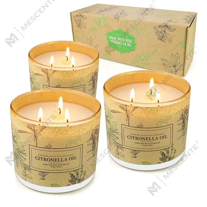 Langlebige 3-Docht-Aromatherapie-Kerzen-Sets mit Citronella-Öl im Glas für Zuhause, Garten, Terrasse, Balkon